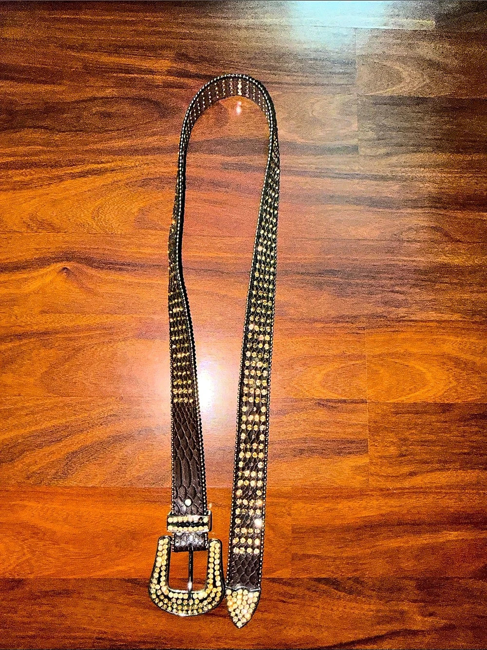 Women's Embellished Leather Belt in Brown